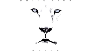 Thumbnail of post image 108